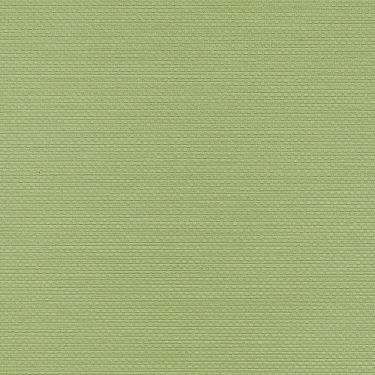 Tapeta W.47.172 Ralph Vinylpex
