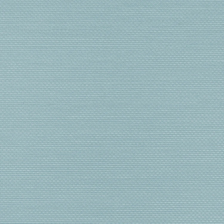 Tapeta W.47.425 Ralph Vinylpex
