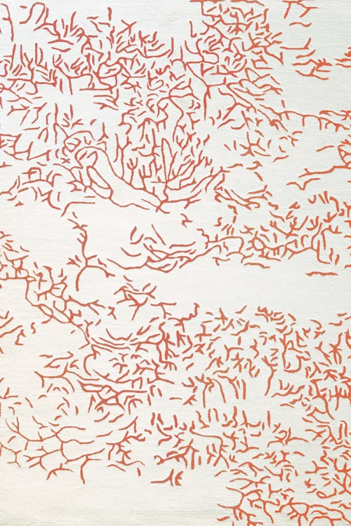 Dywan Nature Corail Toulemonde