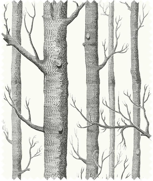 Tkanina Woods Linen Union F111/7026LU Cole&Son