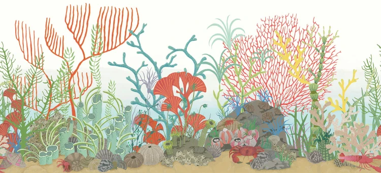 Tapeta Archipelago Border 103/12054