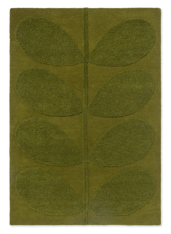SOLID STEM FERN 158307