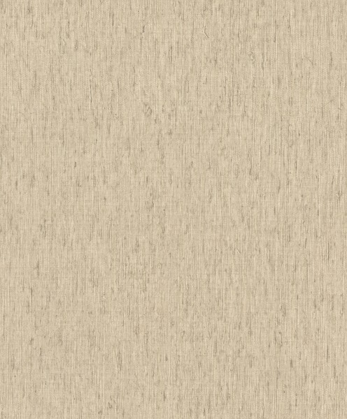 571066.jpg