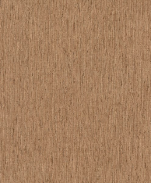 571080.jpg