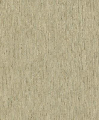 571110.jpg