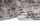 Lyongray_bok_600x.jpg