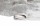 CanvasWarmGray_bok_600x.jpg