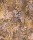 600650_1.jpg