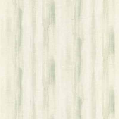 509335.jpg