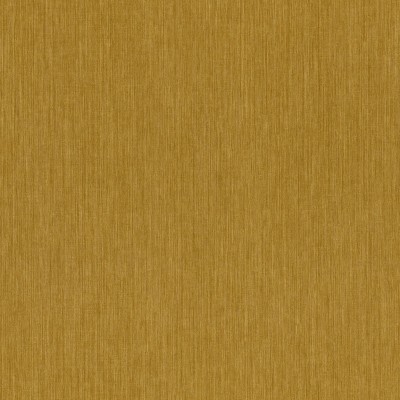 CASAMANCE_73491324.jpg