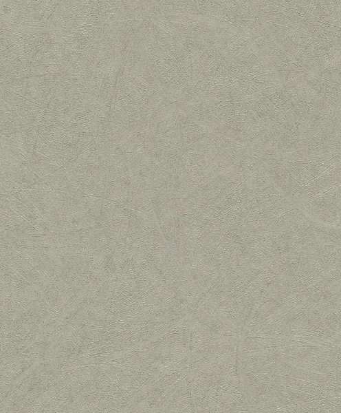 520279.jpg