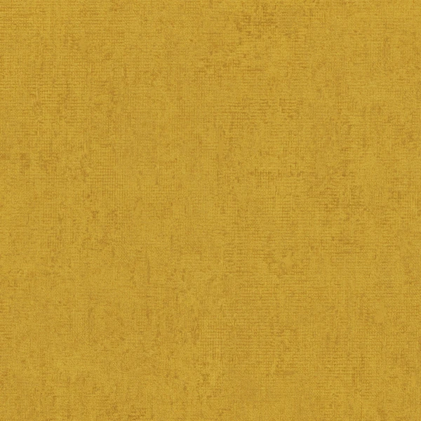 CASAMANCE_73441325.jpg