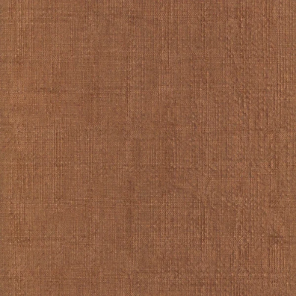 197446.webp
