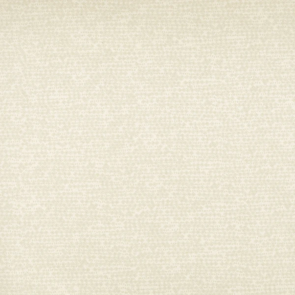 CASAMANCE_73410150.jpg