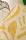 alpha-jaune-detail-n_1-72DPI-2_3-mathildehiley_800x.webp