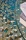 apidea-bleu-detail-72DPI_800x — kopia.webp