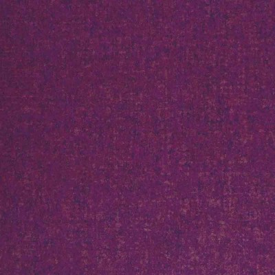 CASAMANCE_72530697.jpg