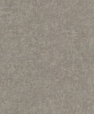 bz1003.jpg