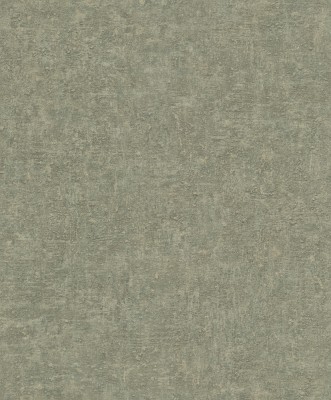 bz1006.jpg