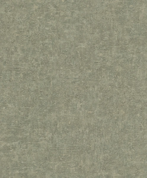 bz1006.jpg
