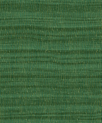 CU1007.jpg