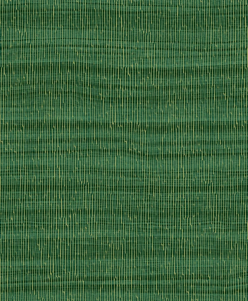 CU1007.jpg