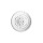 R13_decorative_element.jpg