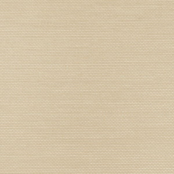 Winylowa-okleina-scienna-RALPH-W-47-82-vinylpex1.jpg