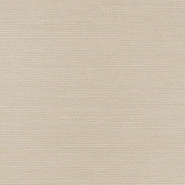 Winylowa-okleina-scienna-RALPH-W-47-379-vinylpex1.jpg