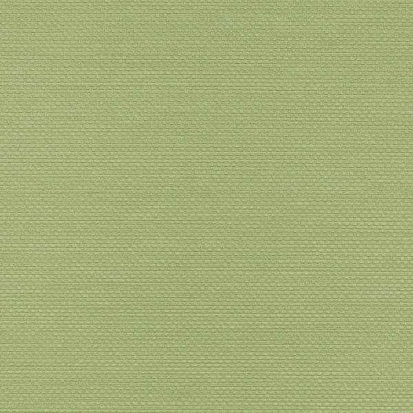Winylowa-okleina-scienna-RALPH-W-47-172-vinylpex1.jpg