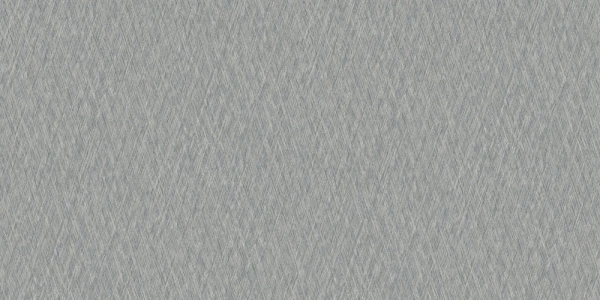 ve1006.jpg