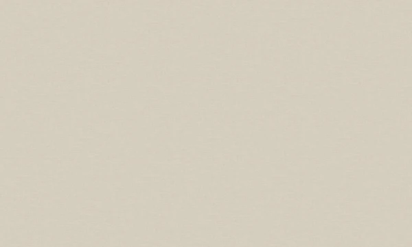 ve1110.jpg