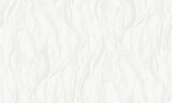 ve1202.jpg