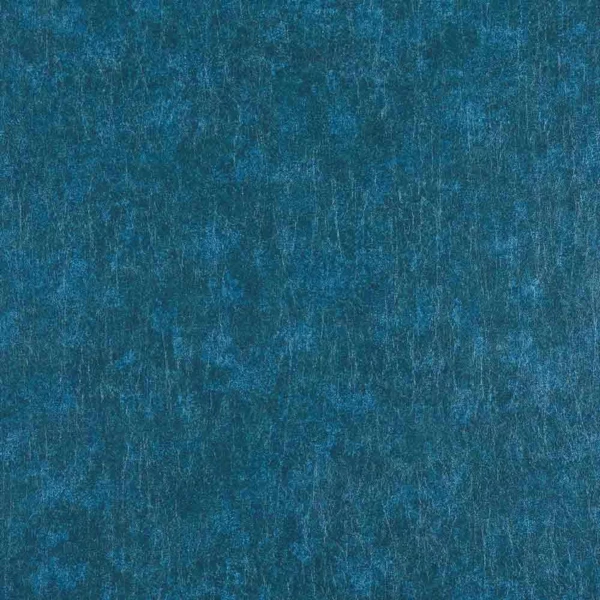 CASAMANCE_72681867.jpg