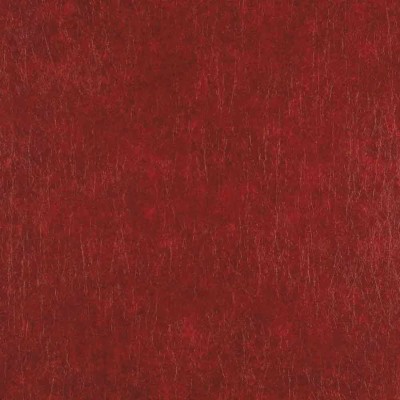 CASAMANCE_72681472.jpg