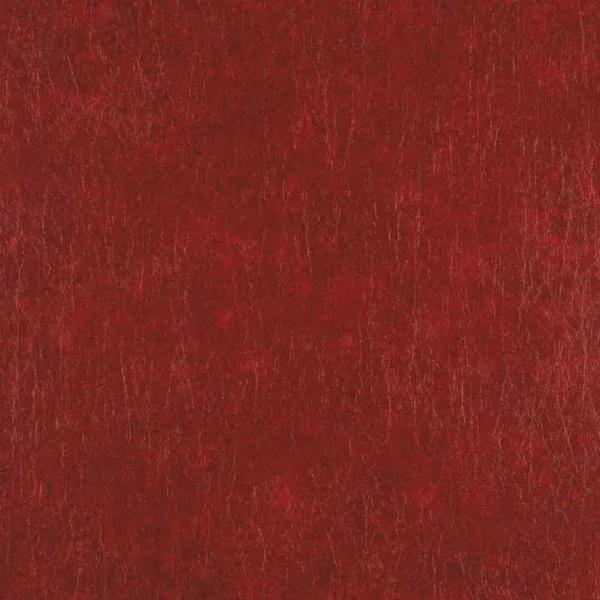 CASAMANCE_72681472.jpg