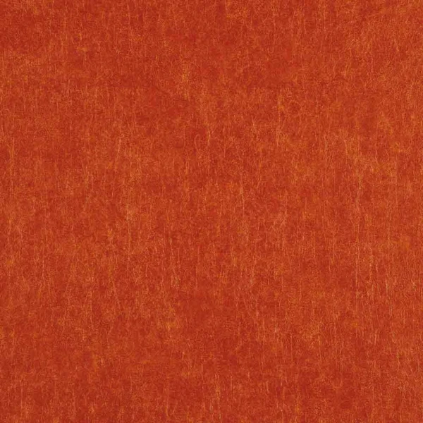 CASAMANCE_72681384.jpg