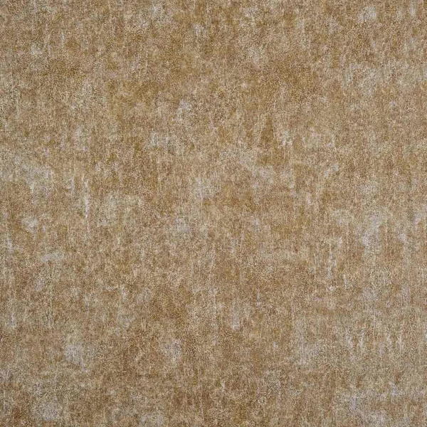 CASAMANCE_72680947.jpg