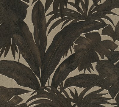 AS962401.jpg