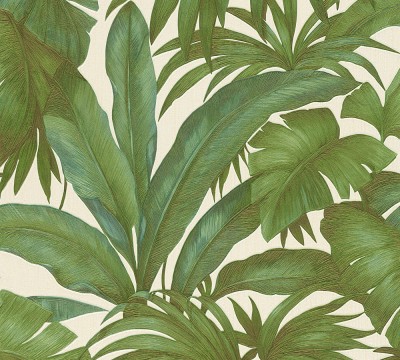 AS962405.jpg