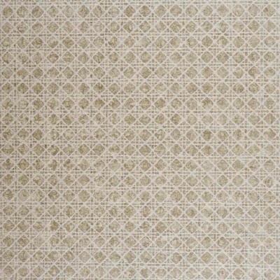 CASAMANCE_72550286.jpg