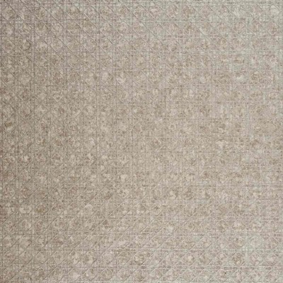 CASAMANCE_72550162.jpg