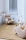 tapis-collage-ecureuil-ambiance_800x.webp