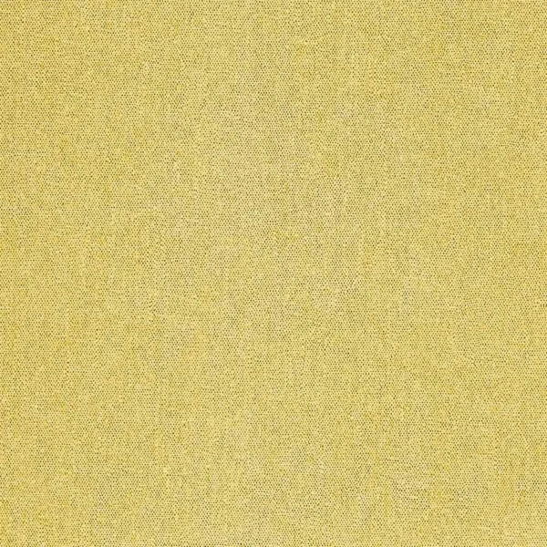 CASAMANCE_72481138.jpg