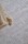Tapisdotty-craie-detail-photodidierdelmas_800x.jpg