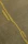 Eclat-bronze-detail_800x.webp