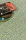 tapis-erg-jardin-ambiance-1_800x.webp