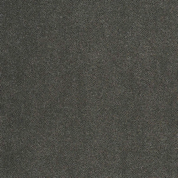 CASAMANCE_72470642.jpg