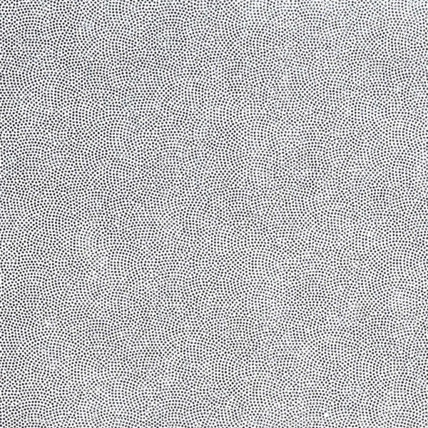CASAMANCE_72470227.jpg