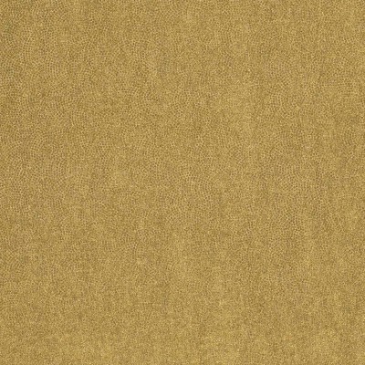 CASAMANCE_72470534 (1).jpg